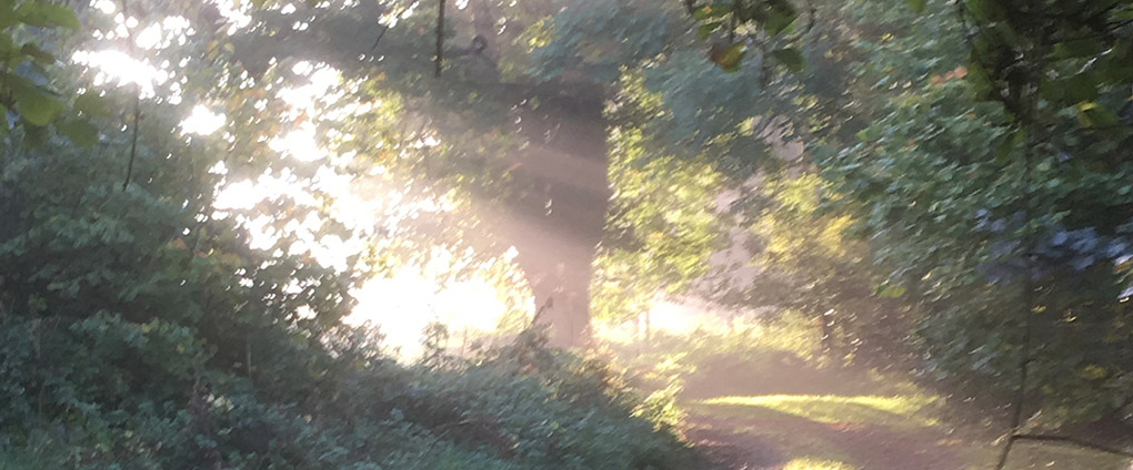 Pyscotherapy In The Vale